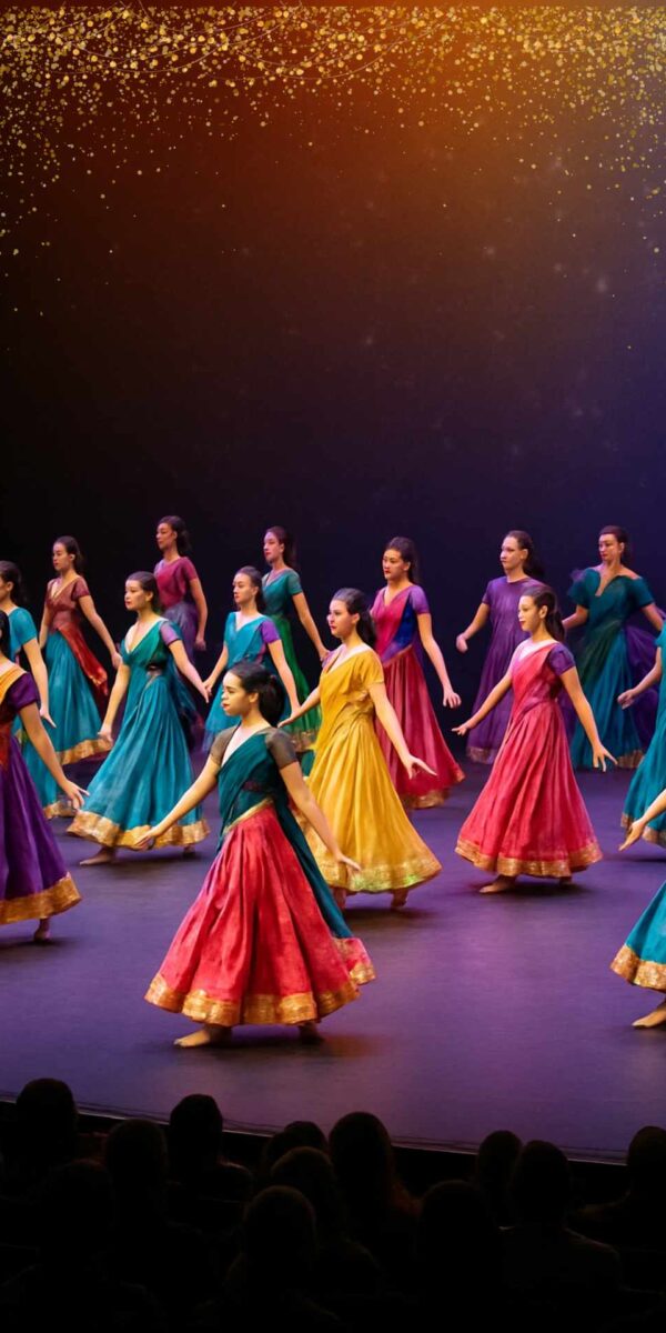 Performing Costume  Multicolour