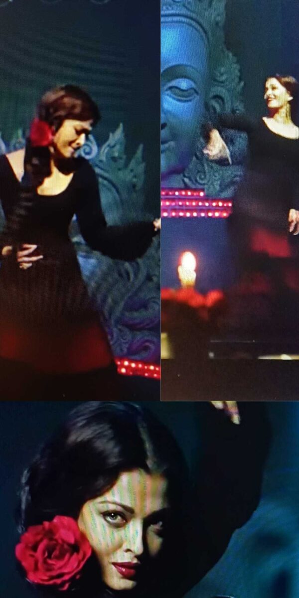 Fancy Dress Hire - Udi Dance  - Ash